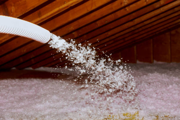 Best Blown-in Insulation  in Danvers, IL