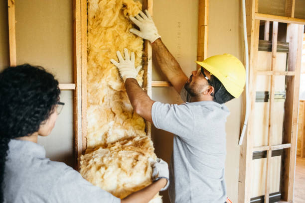 Professional Insulation Contractor in Danvers, IL